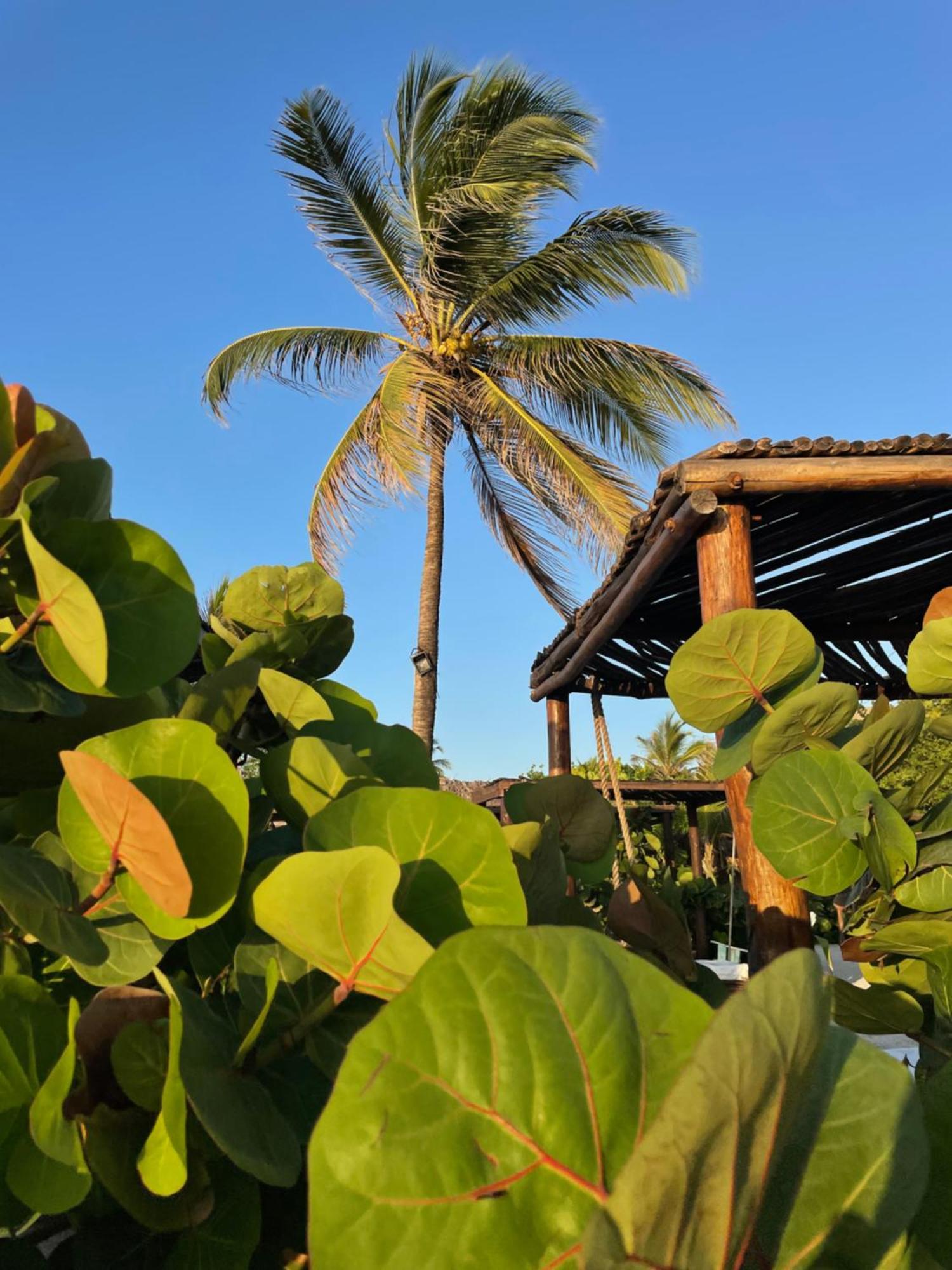 Namaste Beach Club & Hotel Плайя-де-Пунта-Арена Экстерьер фото
